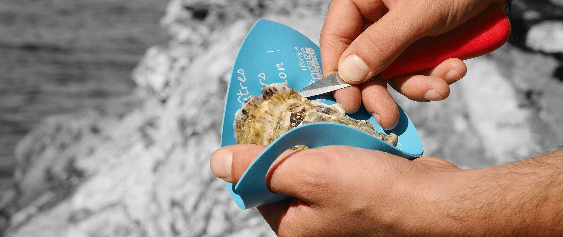 Ouverture des huîtres : que faire en cas de blessure à la main (et comment  éviter de se couper) ? - Top Santé